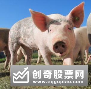 猪肉价格上涨 环保该不该“背锅”？